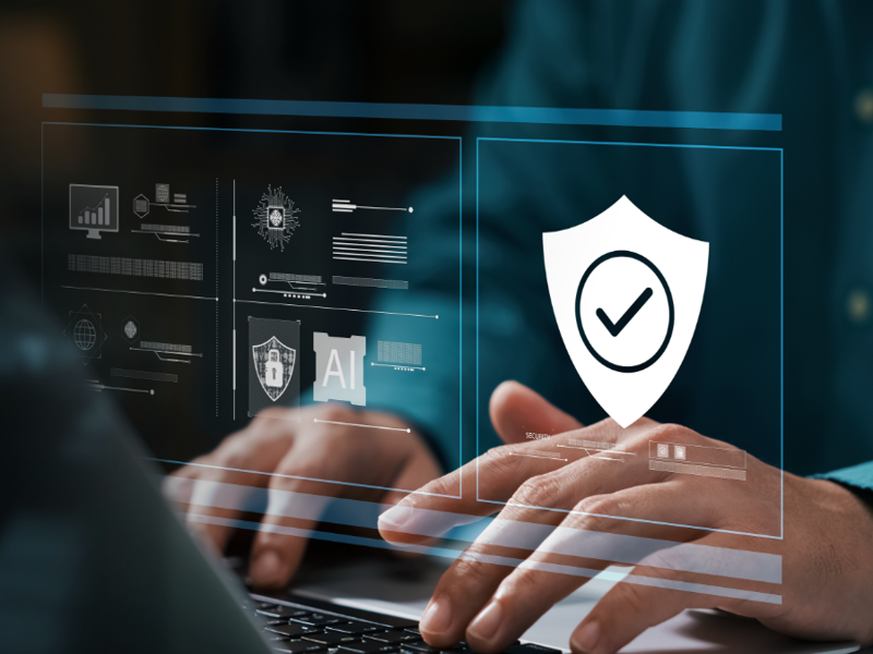 seguridad-informatica-800x600